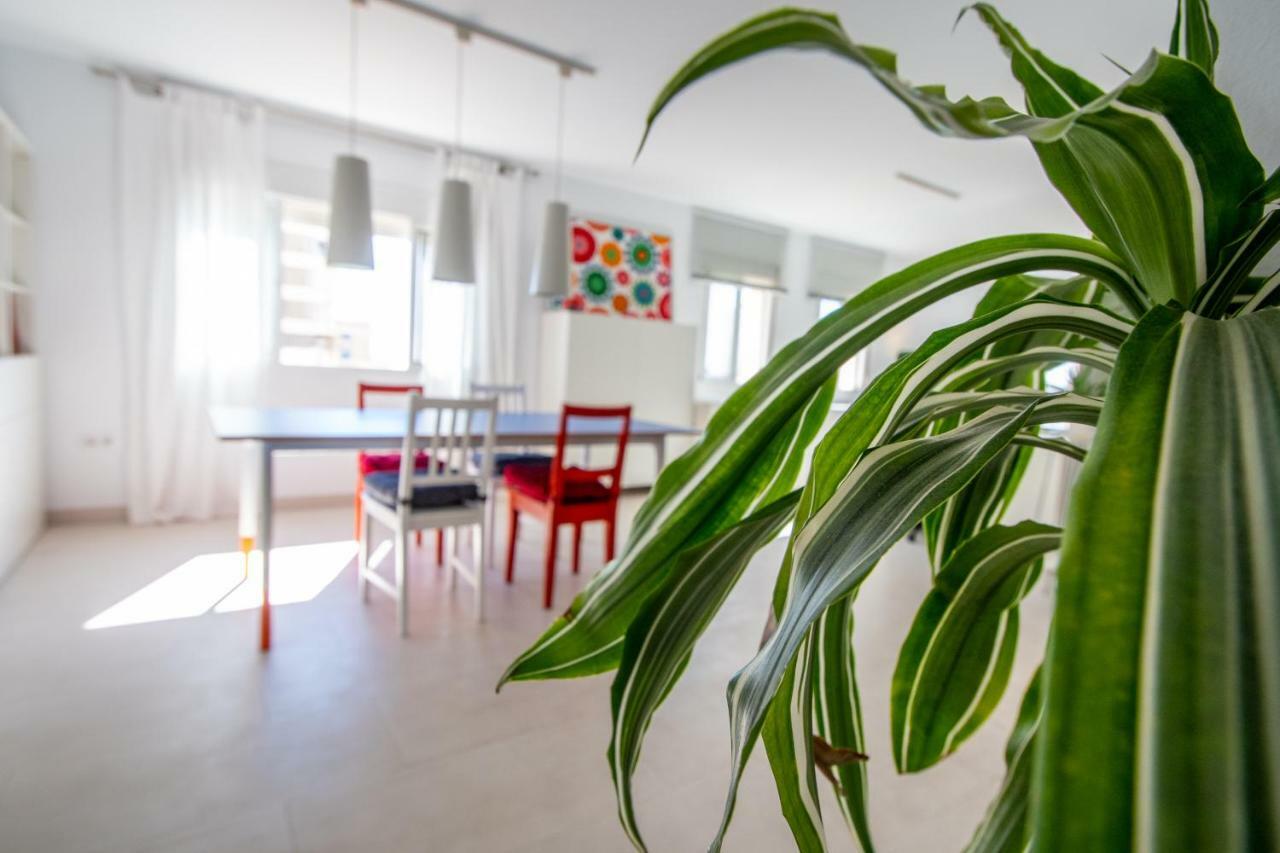 Apartamento El Rayo Verde Cadiz Ngoại thất bức ảnh